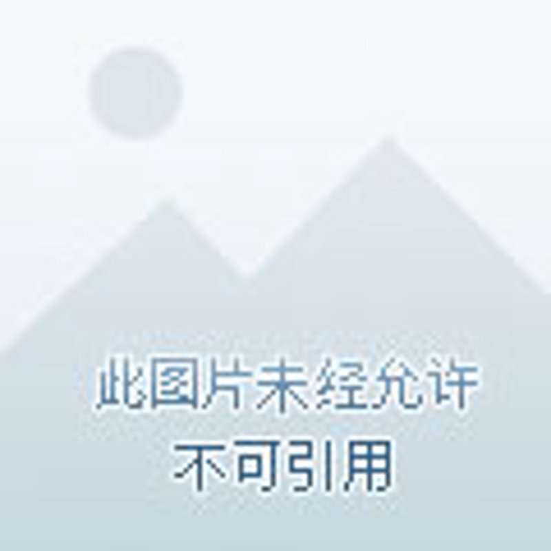 洞察商业脉络：企业如何通过管理咨询实现飞跃